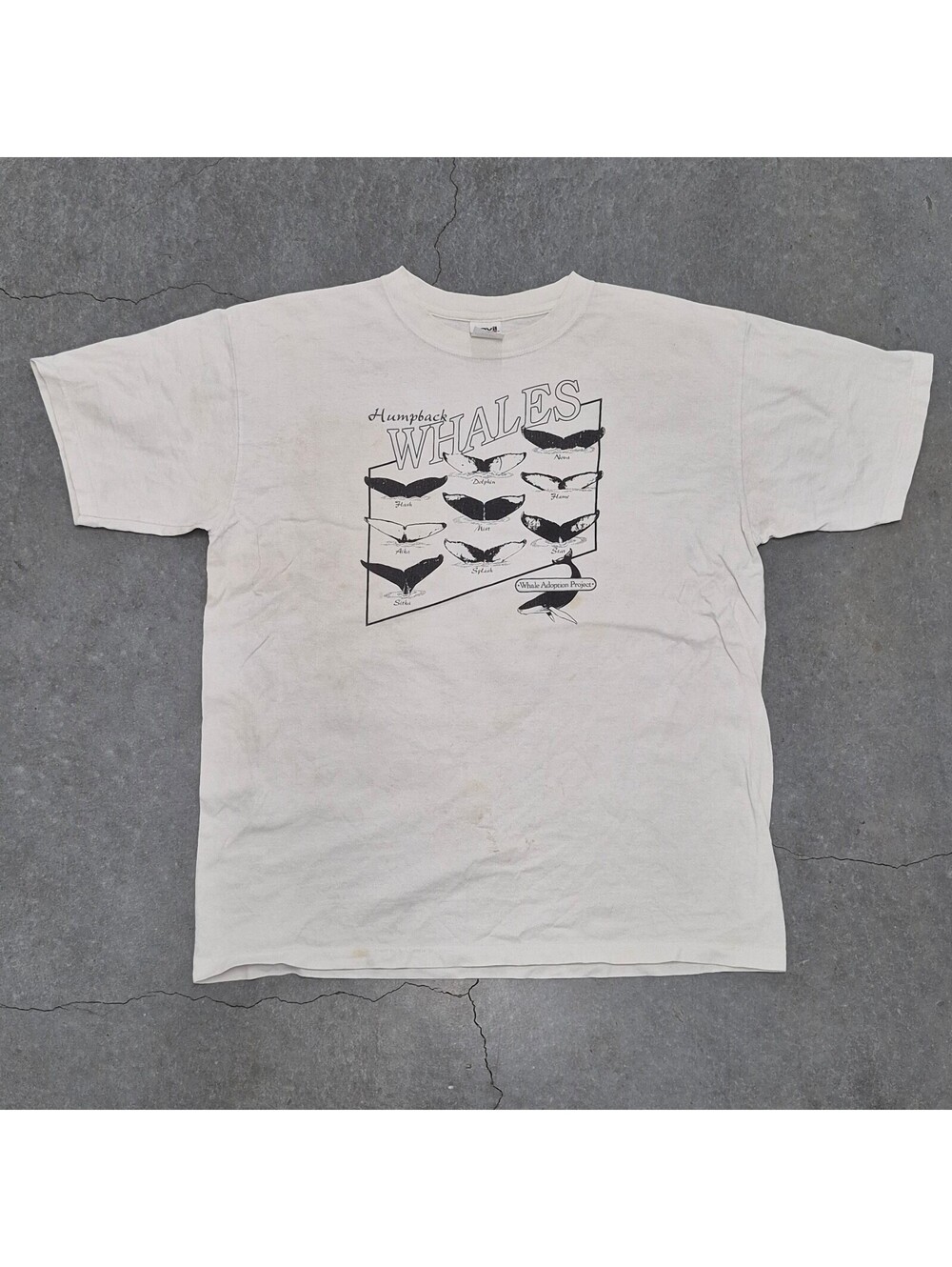 Anvil Humpback Whales T Shirt